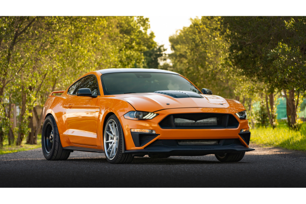 Agencia auto test